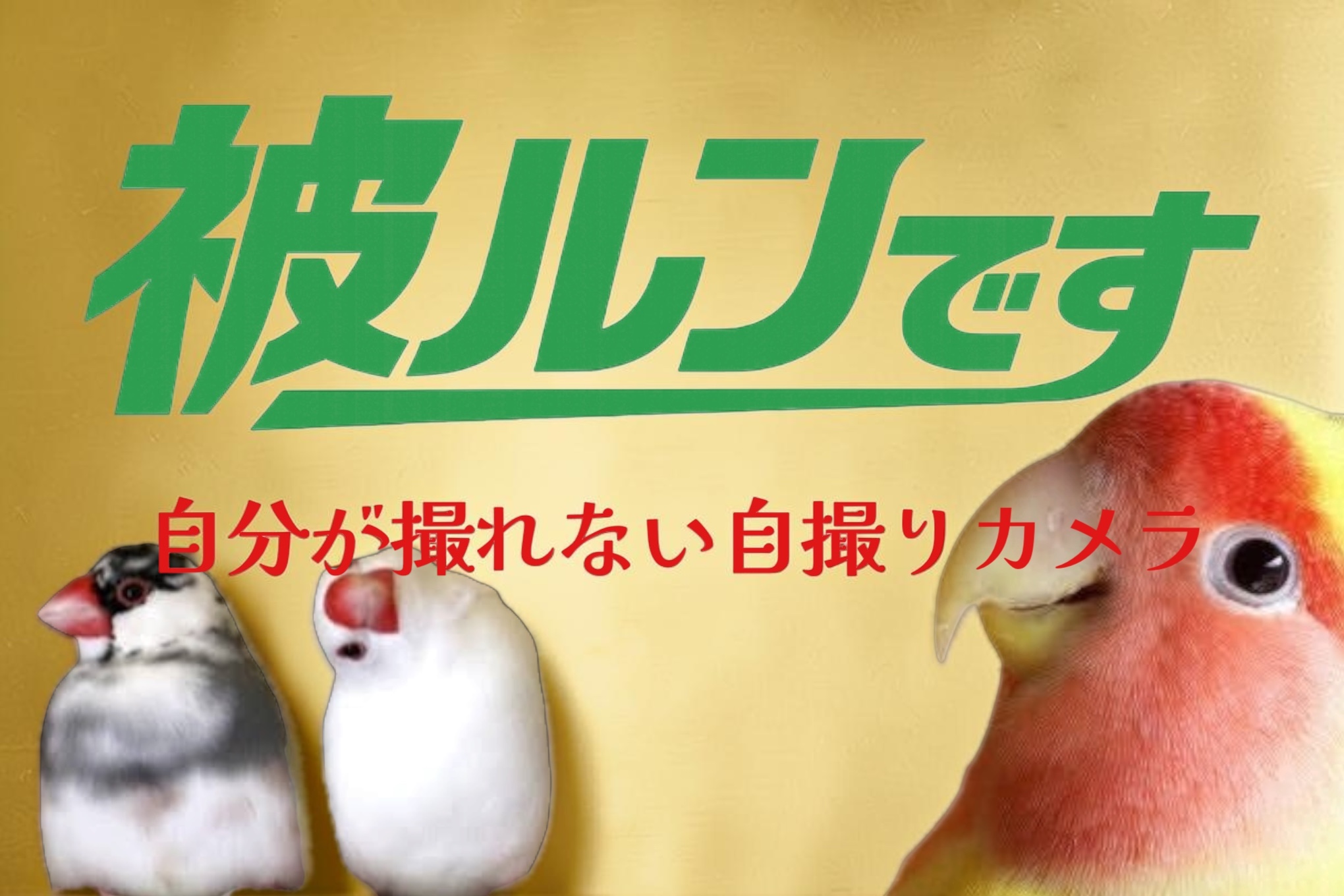 被ルンです - 自分が撮れない、自撮りカメラ。